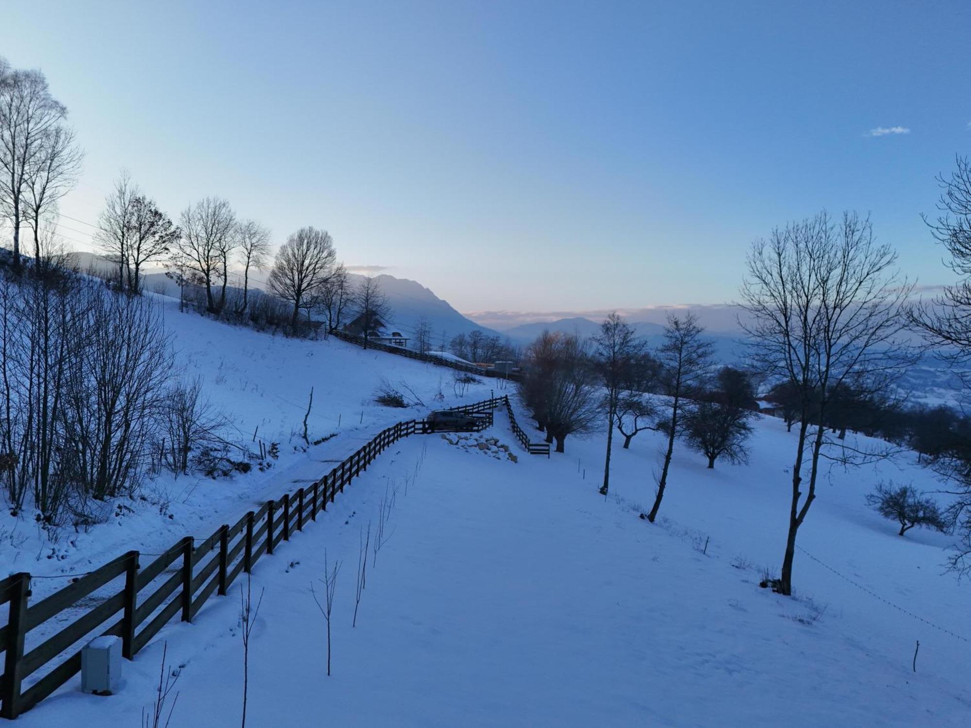 Doza De Verde Retreat&Spa Bran-Adults Only Sohodol  Exteriör bild