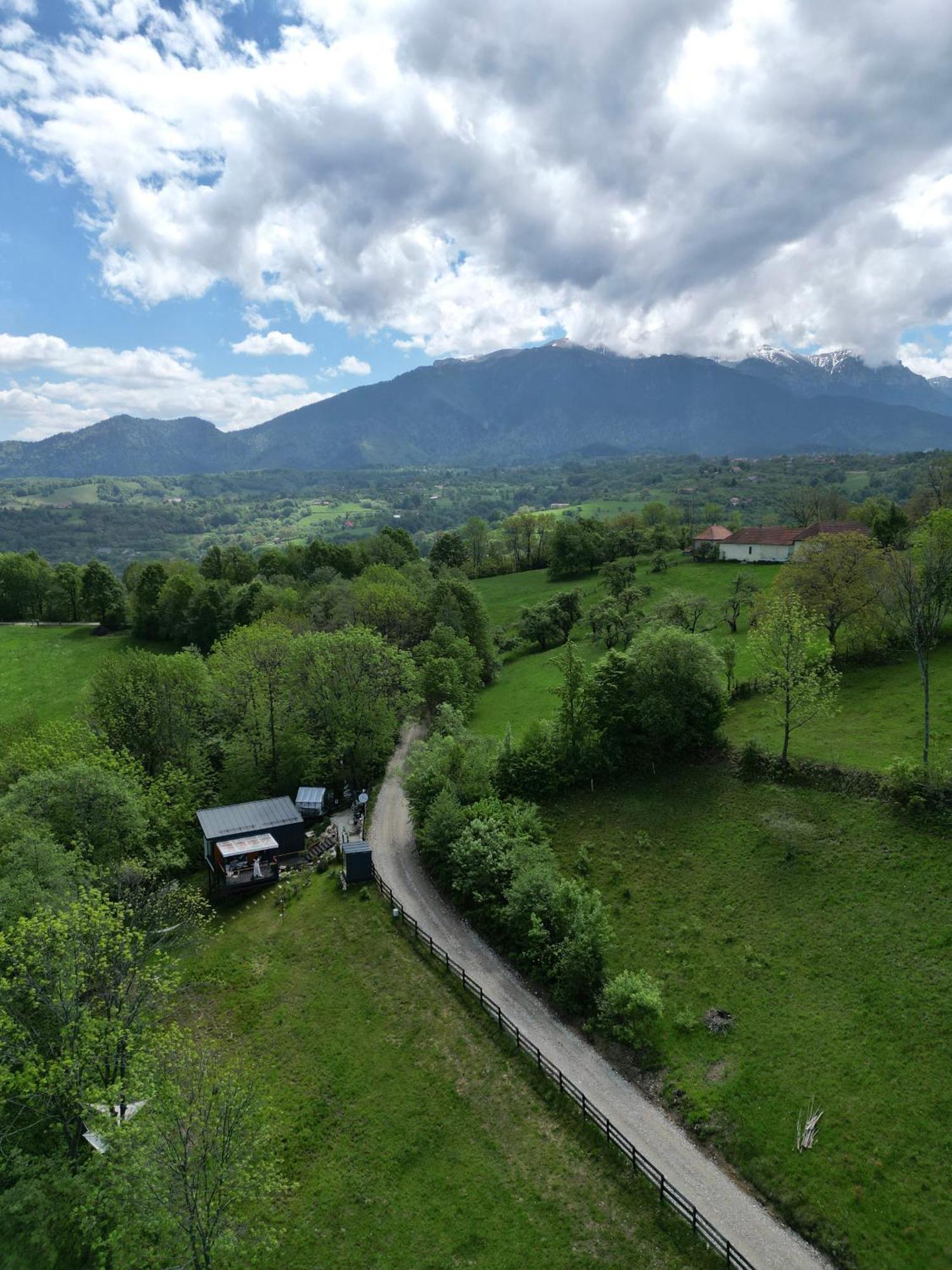 Doza De Verde Retreat&Spa Bran-Adults Only Sohodol  Exteriör bild